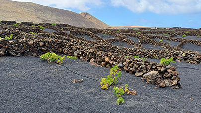 MaYx PHOTOS - Lanzarote