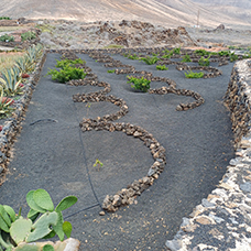 MaYx PHOTOS - Lanzarote