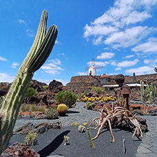 MaYx PHOTOS - Lanzarote