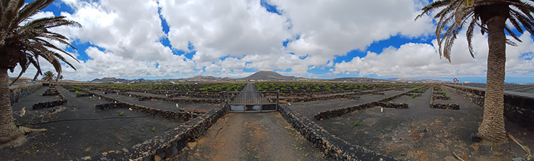 MaYx PHOTOS - Lanzarote