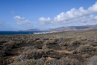 Lanzarote