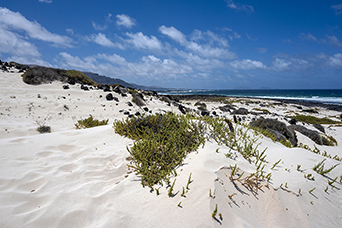 Lanzarote