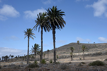 Lanzarote