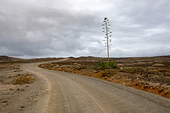 Lanzarote