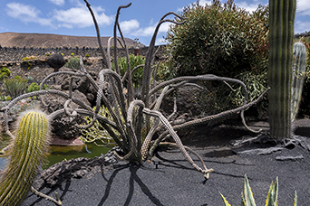 Lanzarote