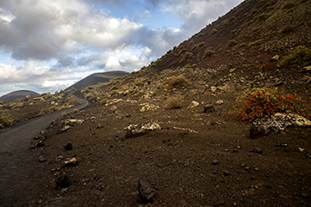 Lanzarote