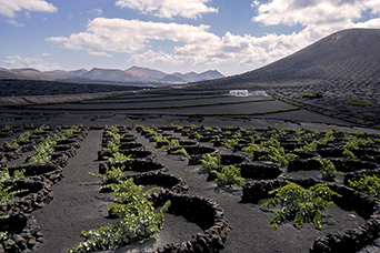 Lanzarote