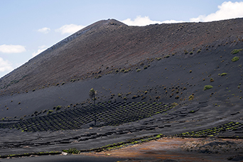 Lanzarote