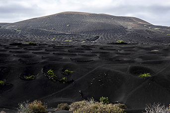 Lanzarote