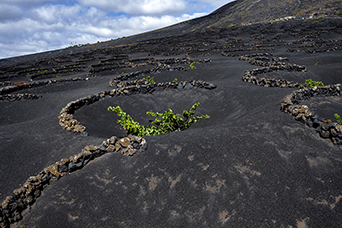 Lanzarote