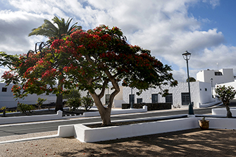 Lanzarote