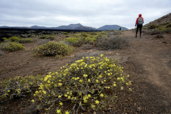 Lanzarote