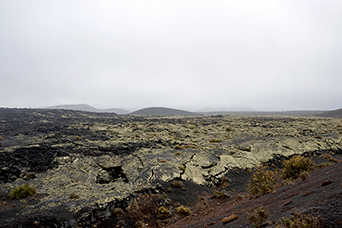 Lanzarote