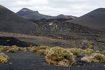 Lanzarote