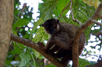 Madagascar